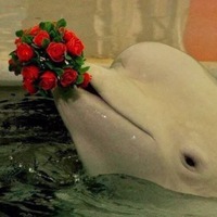 Марина Казанцева | Новосибирск