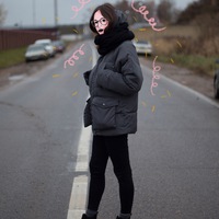 Anastasia Zhenunk  .