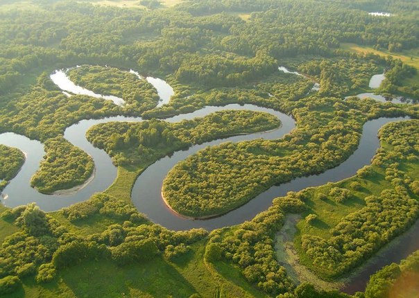 Река Пра. Рязанская область.