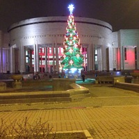 Надежда Кривенко