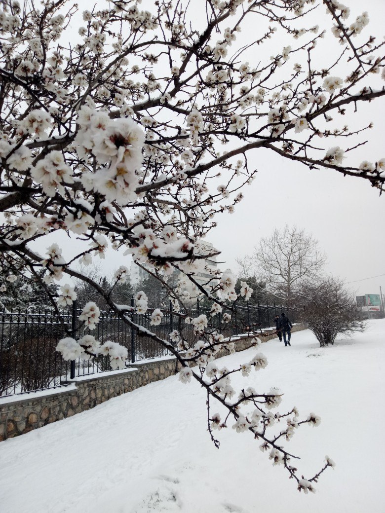 Чайная беседка