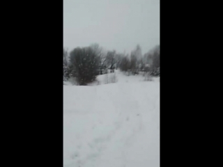 лижі