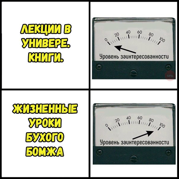 веселые картинки