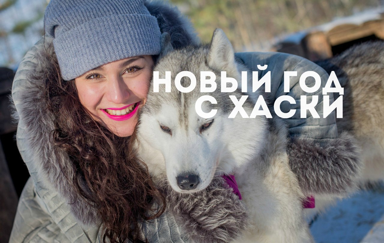 Афиша Саратов Новый год в питомнике хаски