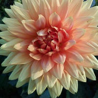 Марина Киреева