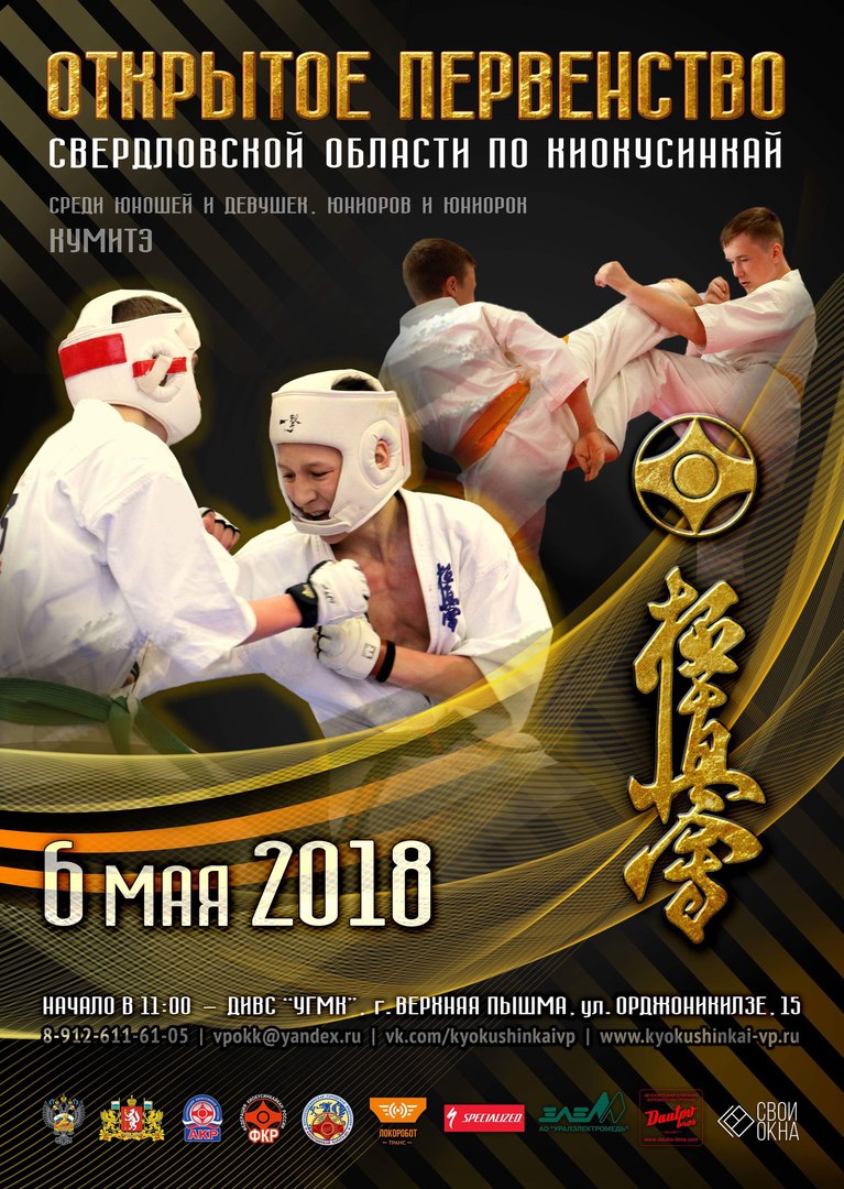 Открытое Первенство Свердловской области по Киокусинкай