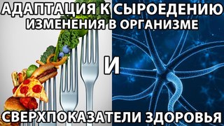 🍏🍌 Адаптация организма к сыроедению или низкокалорийному питанию и физиологические изменения