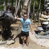 id88200313