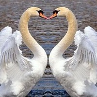Светлана Хамитова | Уфа