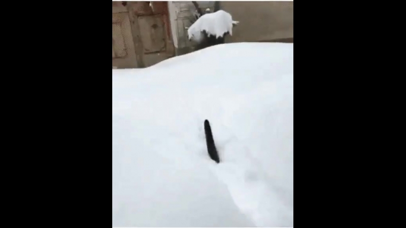 Это было неверное решение))