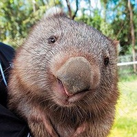 Дмитрий Руднев | Москва