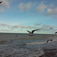 Екатерина Рогозина | Вологда