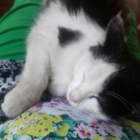 Иванна Иванова | Кокшетау