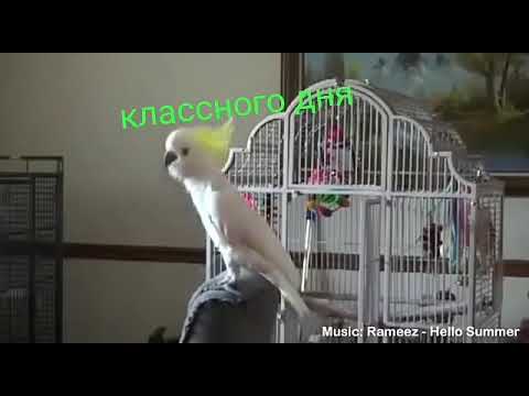 Класного дня
