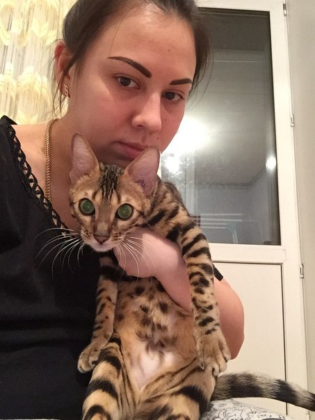 Сниму комнату в 2 хе, в соседях 1-2 некурящие девушки. По жилью особо нет пожеланий, главное, чтобы документы были в порядке. Писать только тем, кто сразу скинет номер собственника. Мне от собственника нужны: оригинальные документы, договор и личное присутствие, без этого не писать и на просмотры не поеду. Аферистов, мошенников и прочую чушь - просьба не беспокоить! <br>Я с кошкой! Которая естественно ходит в горшок, со всеми документами, прививками и без когтей!<br> Романова - фото Фото: Сниму комнату в 2 хе, в соседях 1-2 некурящие девушки. По жилью особо нет пожеланий, главное, чтобы документы были в порядке. Писать только тем, кто сразу скинет номер собственника. Мне от собственника нужны: оригинальные документы, договор и личное присутствие, без этого не писать и на просмотры не поеду. Аферистов, мошенников и прочую чушь - просьба не беспокоить! <br>Я с кошкой! Которая естественно ходит в горшок, со всеми документами, прививками и без когтей!<br> Романова