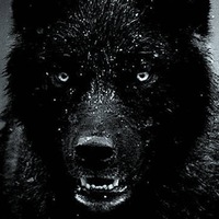 Евгений Тараканов | 