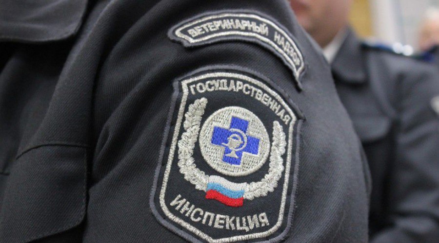 В Таганроге ветинспекторы задержали полтора центнера крольчатины с подложными документами