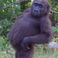 Алексей Воробьев