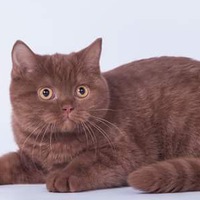 Ольга Хлебникова | Москва