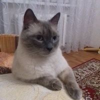 Елена Поспелова | Тюмень