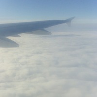 Пушистый Котёнок  ღ... ℒℴνℯ ...ღ