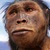 Фото пользователя Homo