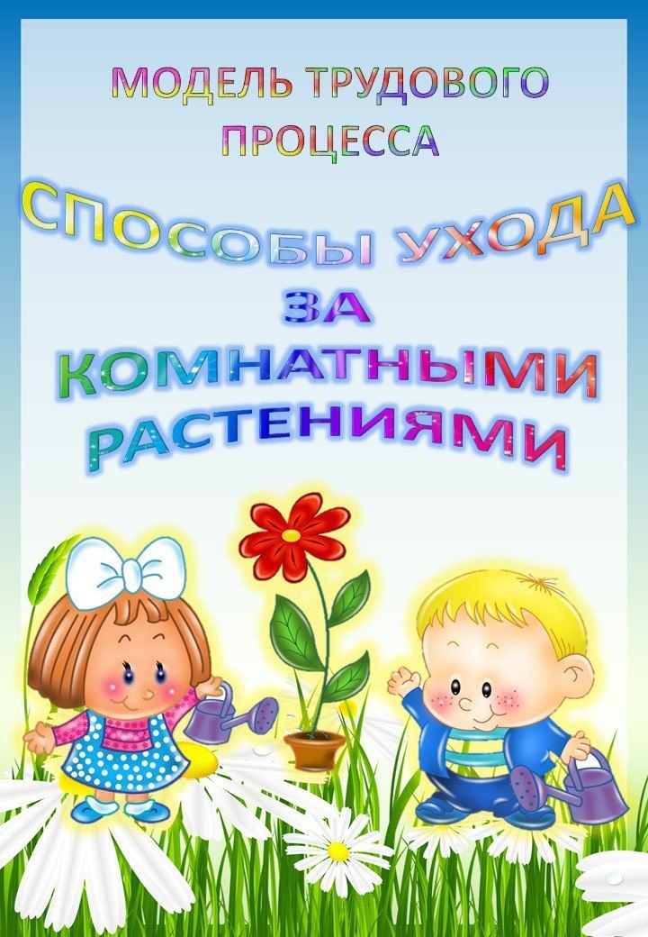 Схемы модели трудового процесса