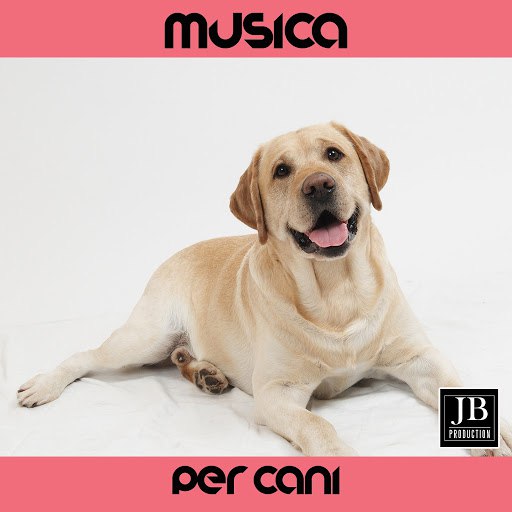 Fly Project альбом Musica Per Cani
