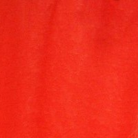 Светлана Аникина | Омск