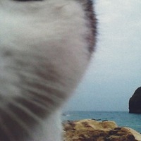 Александра Рогозина | 