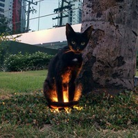 Вика Басовская