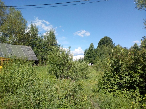 Продам участок (25 сот.) <br>Кадастрвый номер 72:18:0601007:87<br>обл.Тюменская, р-н Уватский, с.Уват, ул.Главная дом. 2<br>Собственник (документы все готовы)<br>Купля продажа в МФЦ<br>На участке старый дом.<br>Участок угловой (первый на улице) <br>Место высокое, проходят все коммуникации.<br>Цена 350 т.р. <br>+7 (902) 829-08-82<br>Пишите, отвечу на все вопросы. - фото Фото: Продам участок (25 сот.) <br>Кадастрвый номер 72:18:0601007:87<br>обл.Тюменская, р-н Уватский, с.Уват, ул.Главная дом. 2<br>Собственник (документы все готовы)<br>Купля продажа в МФЦ<br>На участке старый дом.<br>Участок угловой (первый на улице) <br>Место высокое, проходят все коммуникации.<br>Цена 350 т.р. <br>+7 (902) 829-08-82<br>Пишите, отвечу на все вопросы.