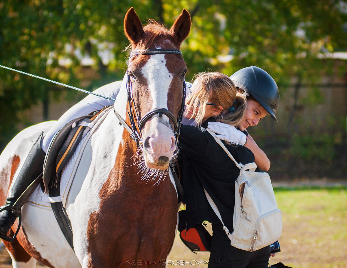 Конный спорт челябинск