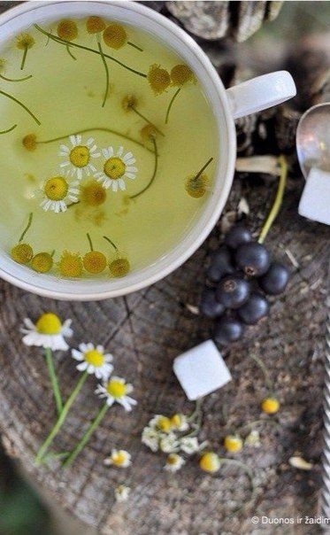 Приветствие - 2 - Страница 4 RWjpCoHjjYg