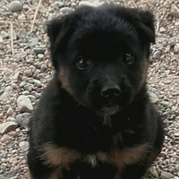 Ольга Ибрагимова | Екатеринбург