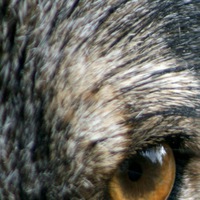 Дарья Беликова |