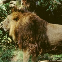 Владимир Алиев | Ростов-на-Дону