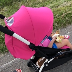 Ксения Бородина on Instagram: “Утро в нашей семье, только Мару и Омара нет🤭 они уже взрослые , чтобы такими глупостями заниматься гулять с нами 😂”