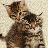 Ирен Силаева