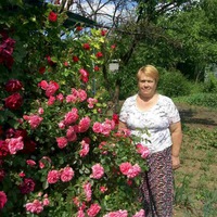 Елена Самсонычева