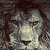 Денис Рыбаков | Москва