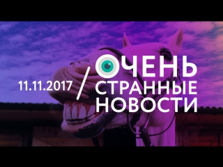 11.11 | ОСН #1. В Подмосковье девушка-почтальон развозит почту на коне