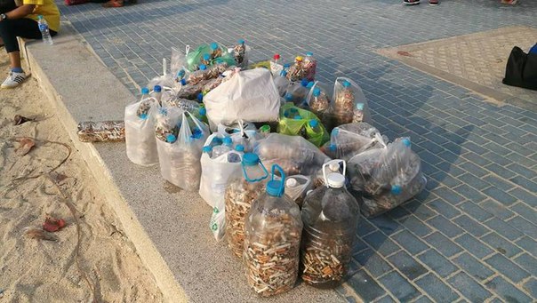 Тем временем в Паттайя продолжается операция 