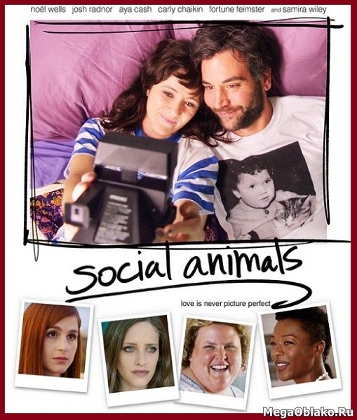 Погоня за любовью / Social Animals (2018/WEB-DL/WEB-DLRip) Погоня за любовью / Social Animals (2018/WEB-DL/WEB-DLRip)