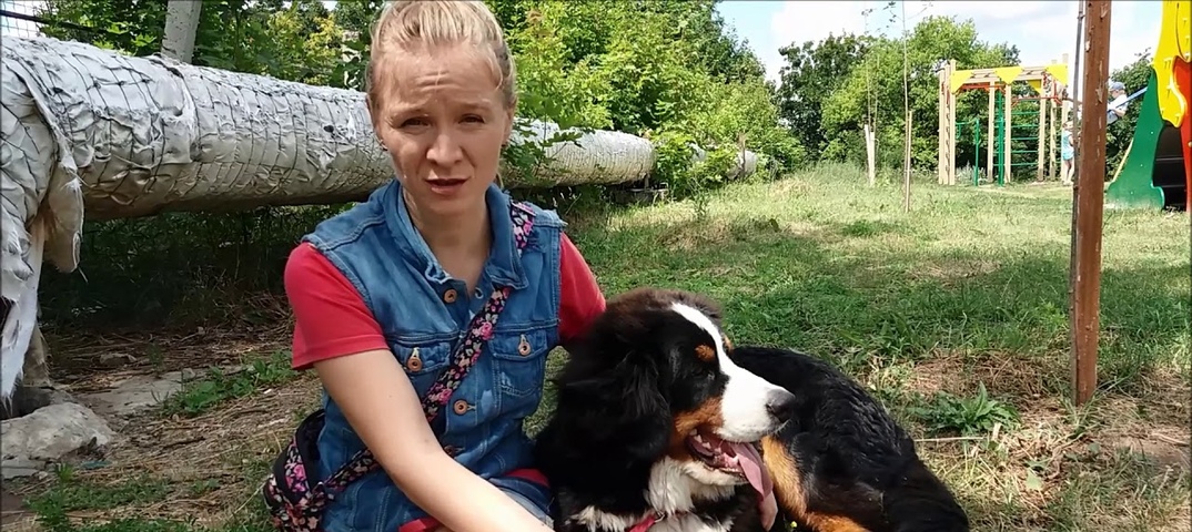 ДРЕССИРОВКА ЛАЙКИ ВИДЕО УРОКИ СКАЧАТЬ БЕСПЛАТНО ДРЕССИРОВКА ЛАЙКИ ВИДЕО УРОКИ СКАЧАТЬ БЕСПЛАТНО