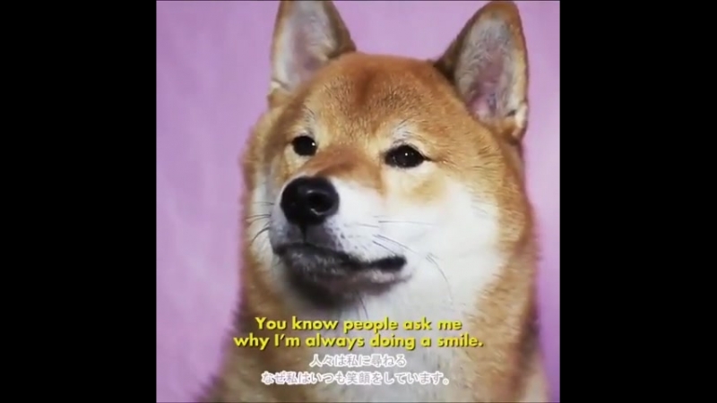 Tofu wise words