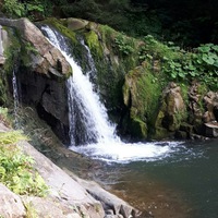 Анастасия Лисянская | 