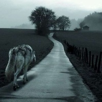 Қадыр Момбеков