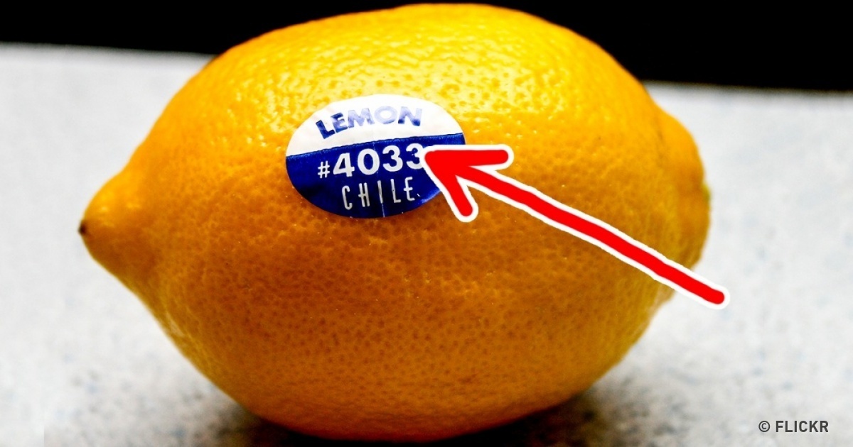 https://pp.userapi.com/c834301/v834301130/9c9e4/DEChnQv83Rg.jpg