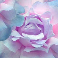 Алия Мамбетова | 